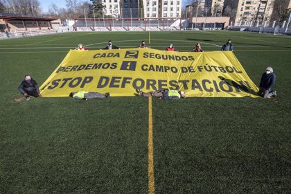 Denuncian presión de la industria para debilitar la ley europea contra la deforestación