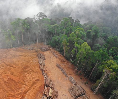 Los gigantes de la agroindustria intentaron frustrar el plan de deforestación después del compromiso de Cop26