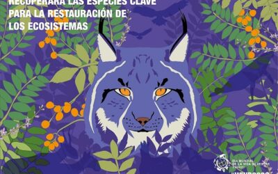Día Mundial de la Vida Silvestre – 3 de marzo