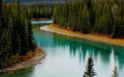 Día Mundial de Acción por los Ríos – 14 de marzo