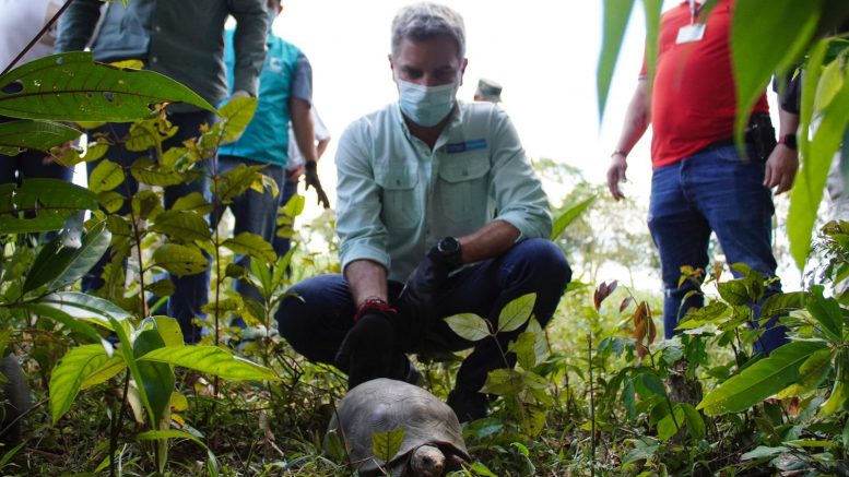 Colombia: Autoridades liberaron casi 2.400 individuos de fauna silvestre