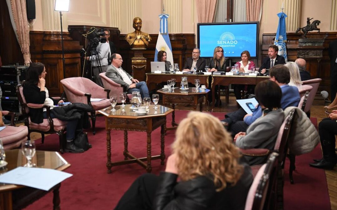 Senado: Representantes del PNUD participaron de un encuentro