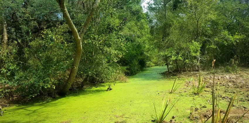 Chaco: Primer encuentro regional para la implementación de la Ley de Educación Ambiental