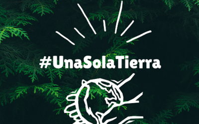 Día Mundial del Ambiente – 5 de junio