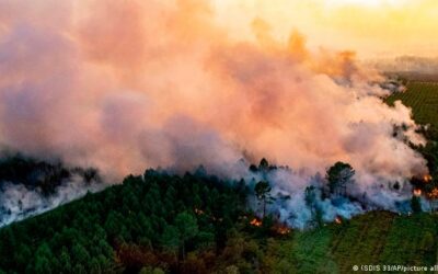 Europa lucha contra los incendios y la ola de calor