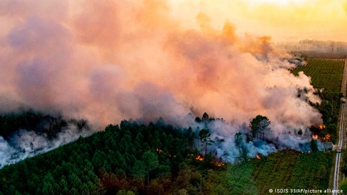 Europa lucha contra los incendios y la ola de calor