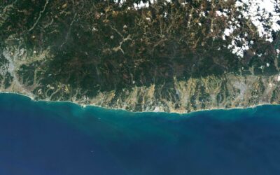 Japón: Liberarán al Pacífico las aguas de la central nuclear de Fukushima