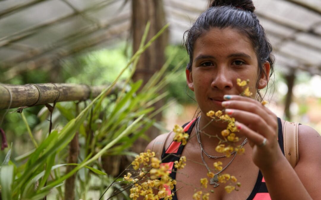 Se presentó un programa para reconocer y financiar la labor de las mujeres en los bosques