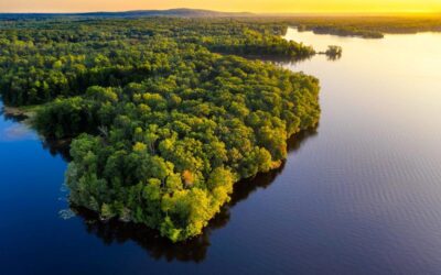 Día de la Amazonía – 5 de septiembre