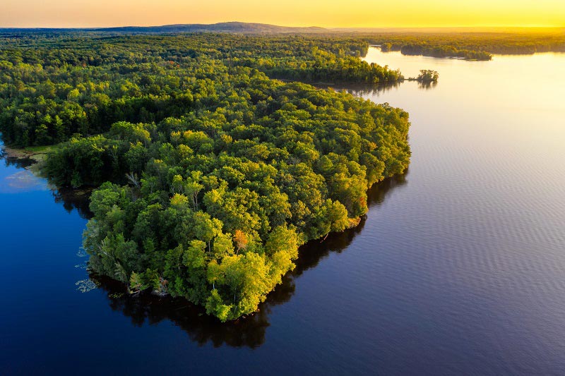 Día de la Amazonía – 5 de septiembre