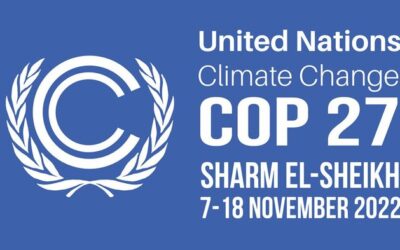 Egipto: Conflictos en torno a la sede de la COP27