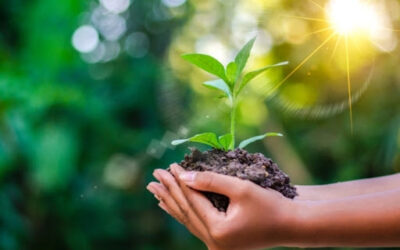 Día Mundial de la Salud Ambiental – 26 de septiembre