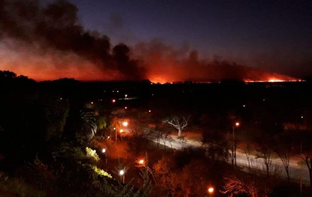 Se reavivaron los incendios en el Delta del Paraná
