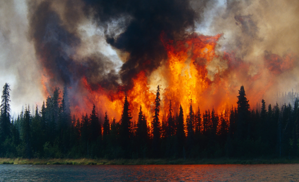 Nuevo estudio determinó cuál es la causa principal de los incendios en el Ártico