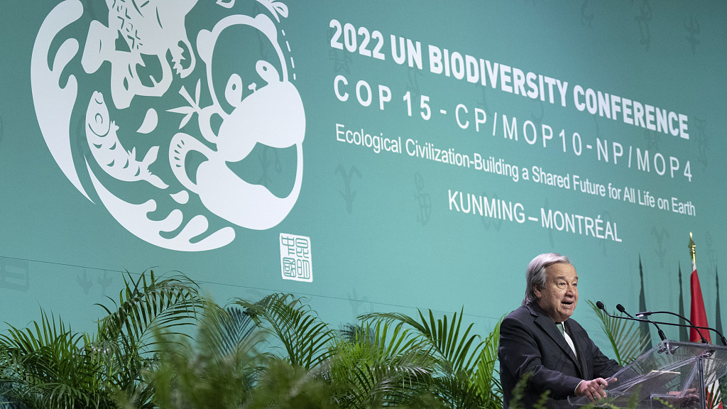 Resumen de la COP 15