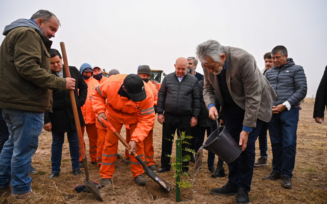 Plantaron árboles en San Luis