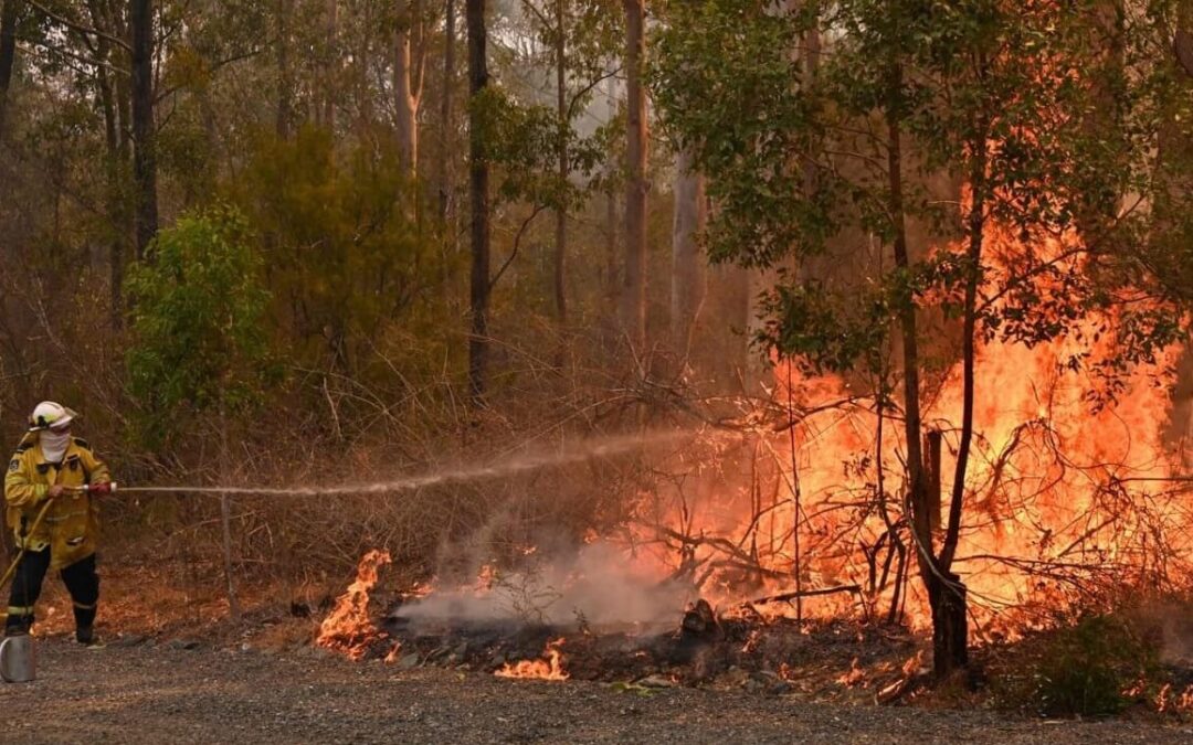 Argentina suma fuerzas contra los incendios