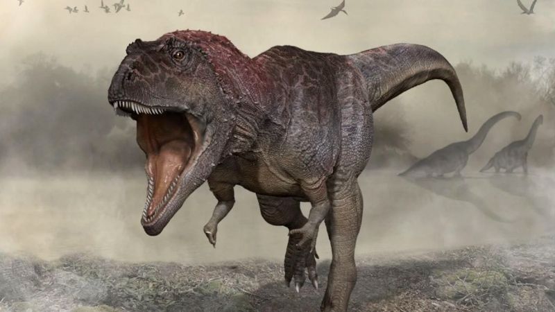 ¿Sabías que el Tyrannosaurus rex tenía la misma cantidad de neuronas que los primates modernos?