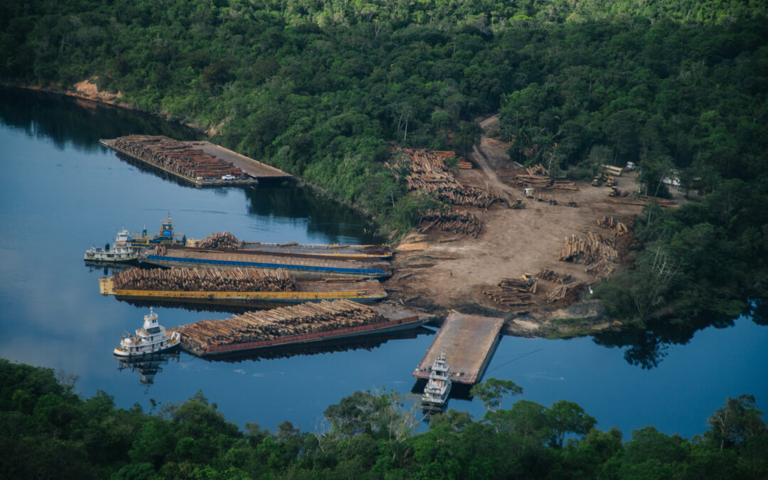CELAC: Colombia llamó a cuidar la Amazonía
