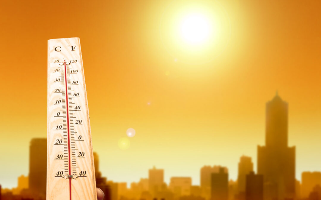 Urbes como Buenos Aires registraron una mayor letalidad durante las olas de calor