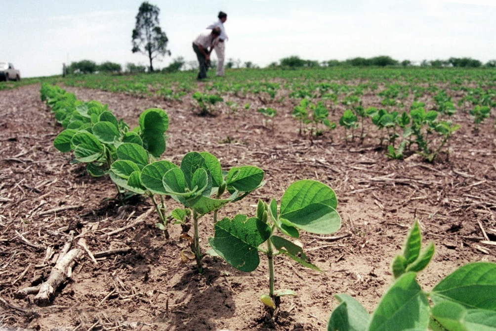 Estudian vinculación entre cáncer, uso de agroquímicos y aguas con arsénico