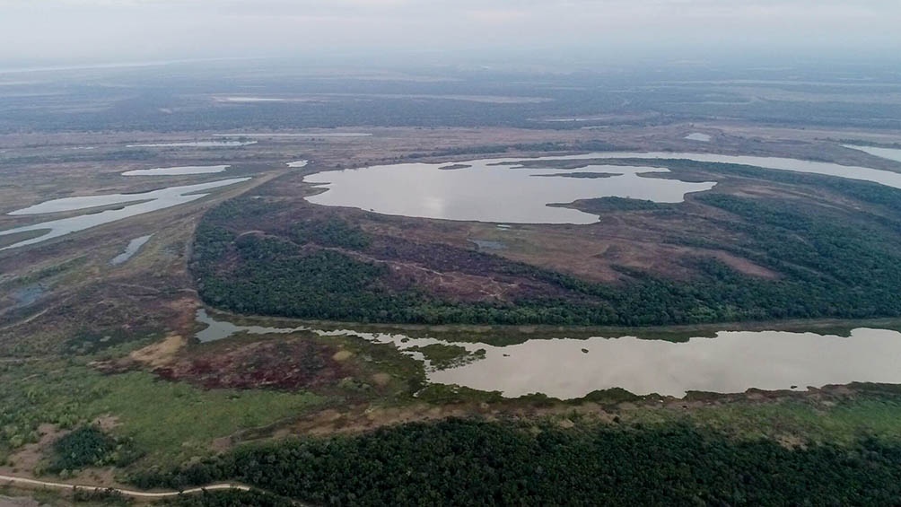 El Parque Nacional Laguna El Palmar sería fundamental para preservar al ambiente