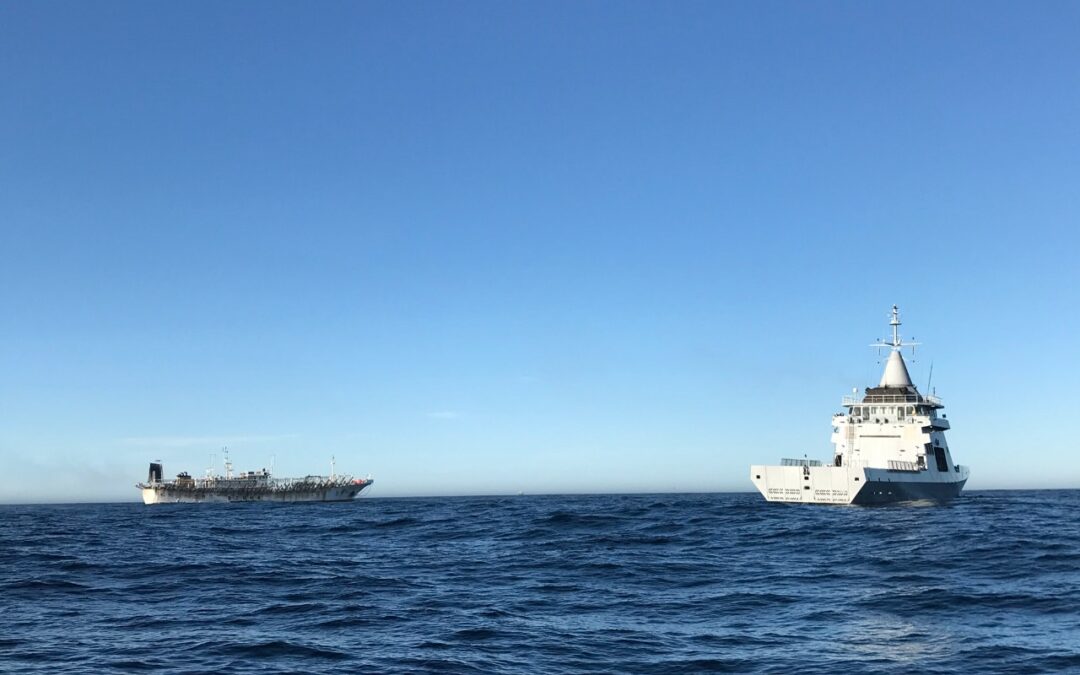 Detectaron que pesqueros chinos apagaron sus radares durante más de 600 mil horas