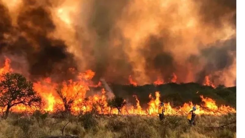 Se declaró un nuevo incendio forestal en la provincia de Tierra del Fuego