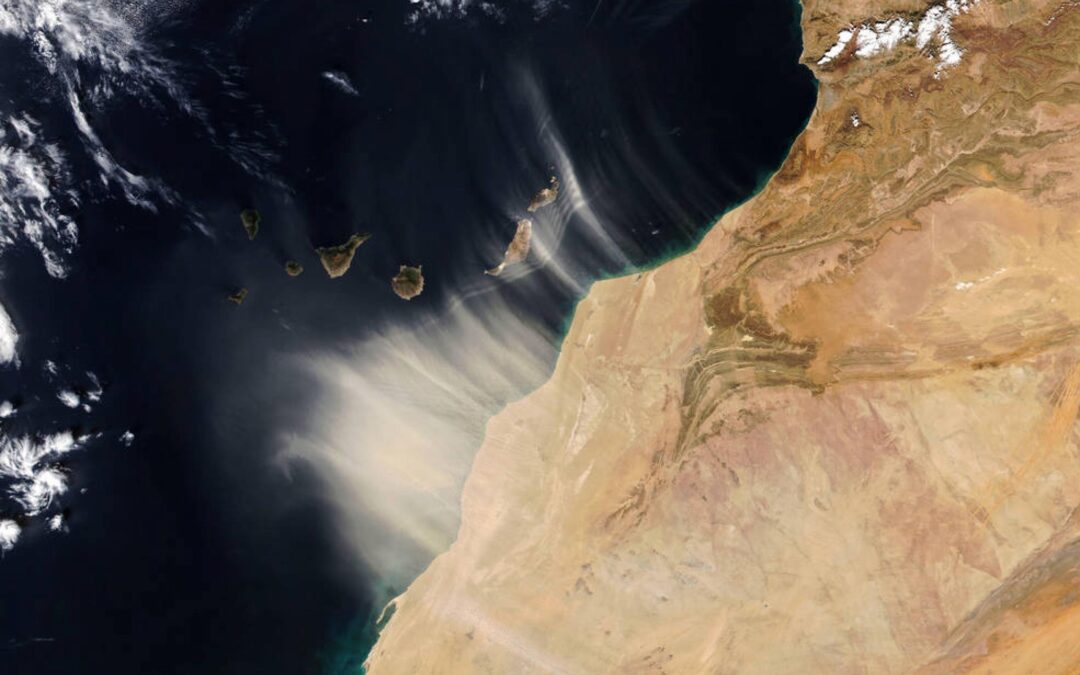 El polvo atmosférico del desierto refrigera la Tierra