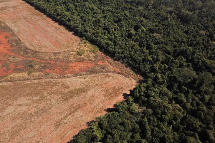 La deforestación en la Amazonia brasileña marcó un nuevo récord