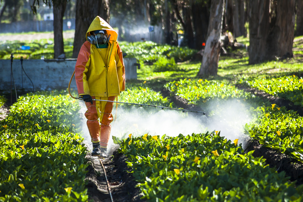 Confirman que los agrotóxicos inciden en la salud