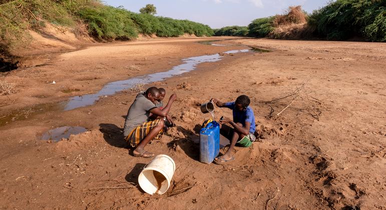La sequía en el Cuerno de África provoca millones de desplazamientos
