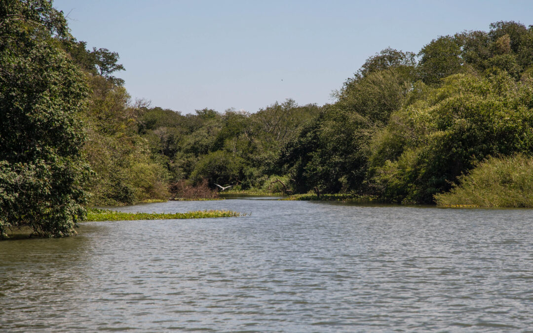 Habrá un nuevo parque provincial en nuestro país