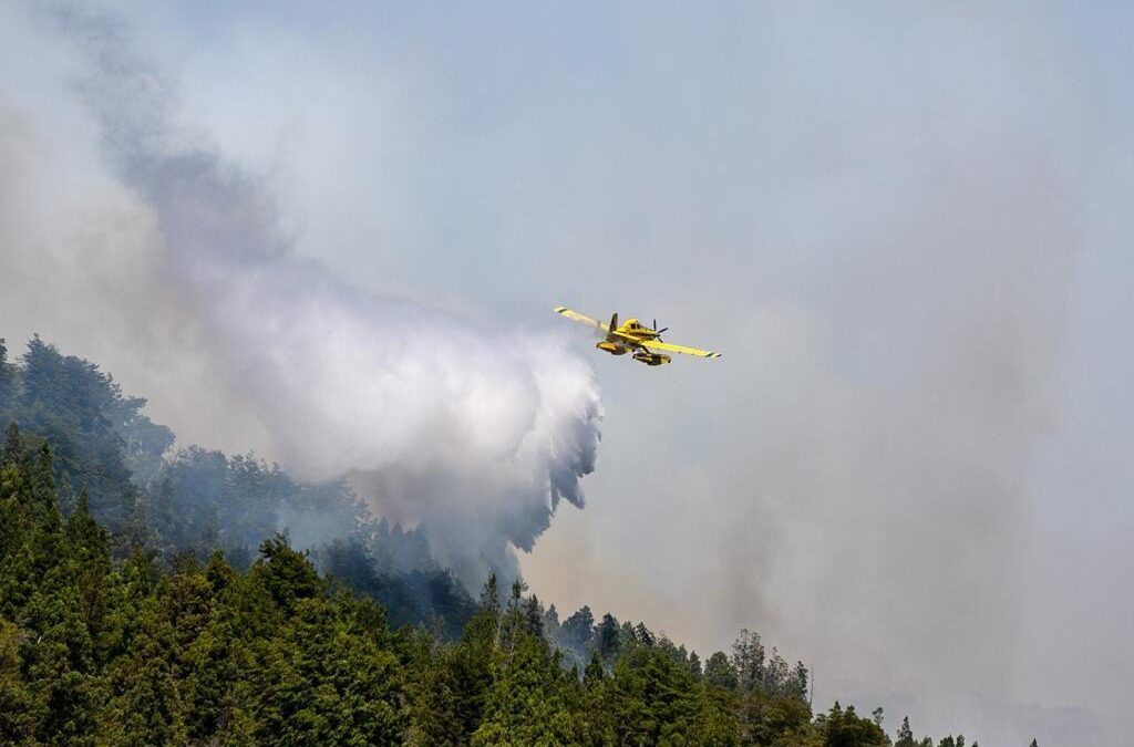 El fuego consumió El Bolsón