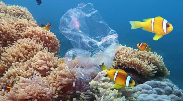 Especulan un aumento de la contaminación por plásticos en los océanos para 2040