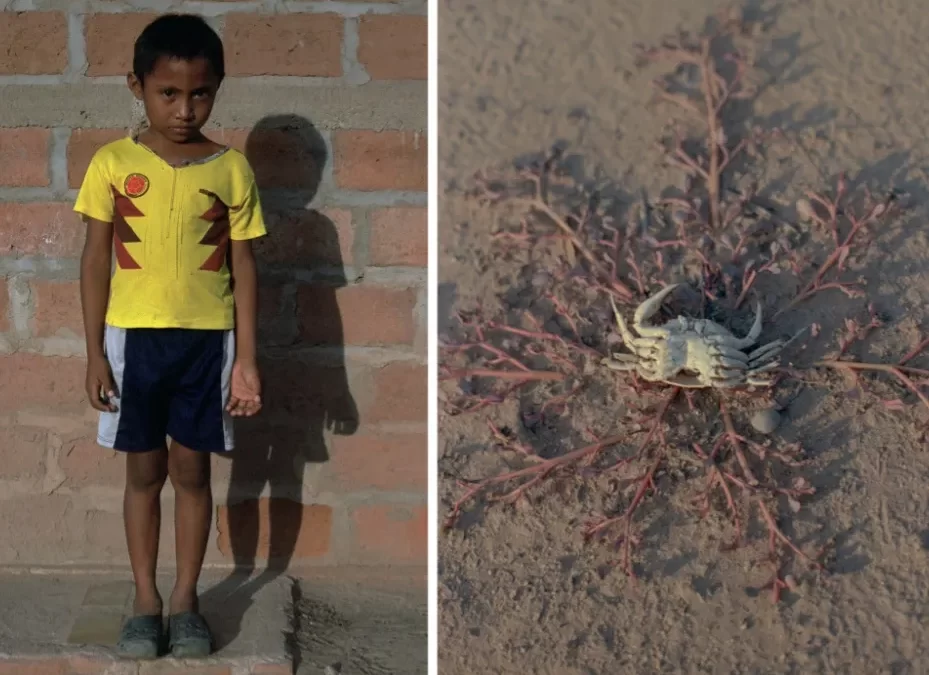 Un fotógrafo argentino ganó la categoría de ambiente Sony World Photography Awards 2023