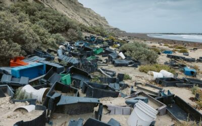 Denuncian presencia de plásticos en Península Valdés