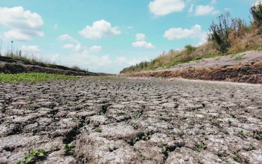 El “desastre climático” frena inversiones en el sector agropecuario
