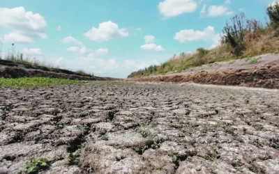 El “desastre climático” frena inversiones en el sector agropecuario