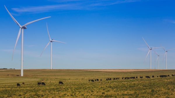 Río Negro busca impulsar las energías alternativas