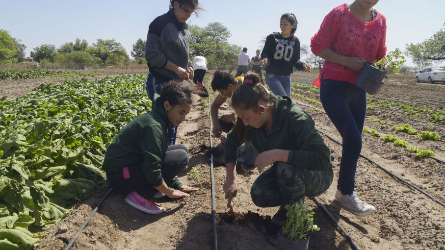Ponen en marcha un proyecto educativo para potenciar la sostenibilidad y la producción agropecuaria
