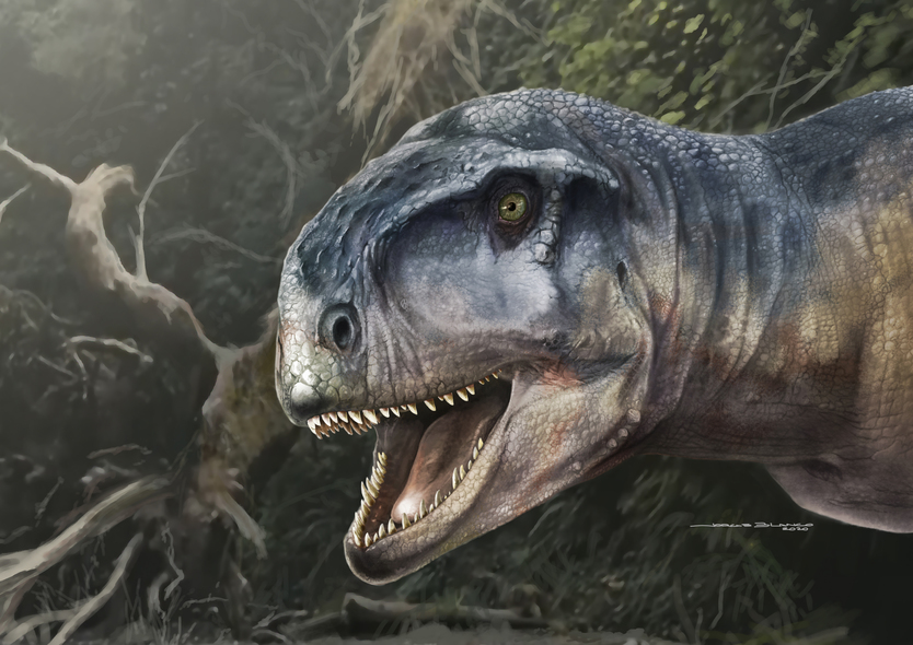 Descubrieron una nueva especie de dinosaurio en la Argentina