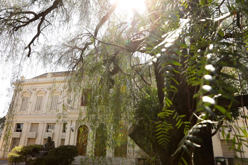 La Universidad Nacional de La Plata absorbe todas las emisiones que produce