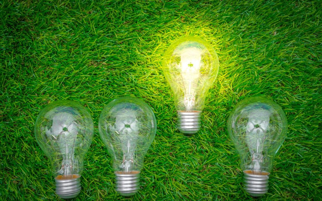 El uso eficiente de la energía es más que relevante