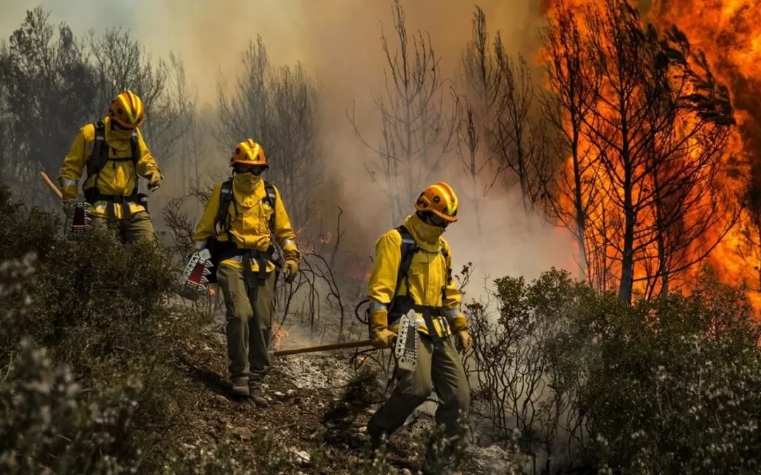 Lanzan diplomatura relacionada al cuidado del ambiente, ¿la conocías?