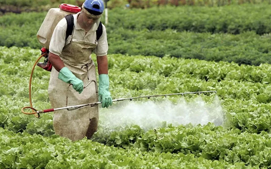Imputaron a productor agropecuario por la muerte de un menor por agrotóxicos