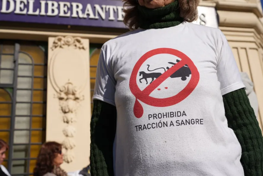 Prohíben la tracción a sangre en Lanús