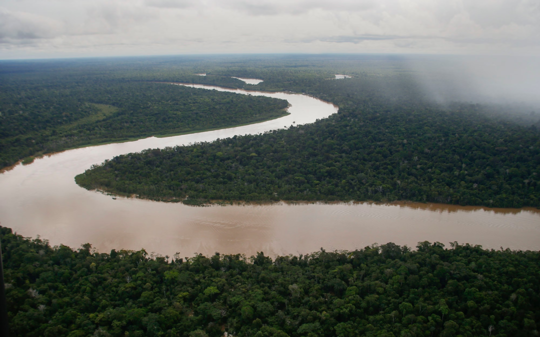 Se dan los primeros pasos para lograr un acuerdo sobre la amazonía