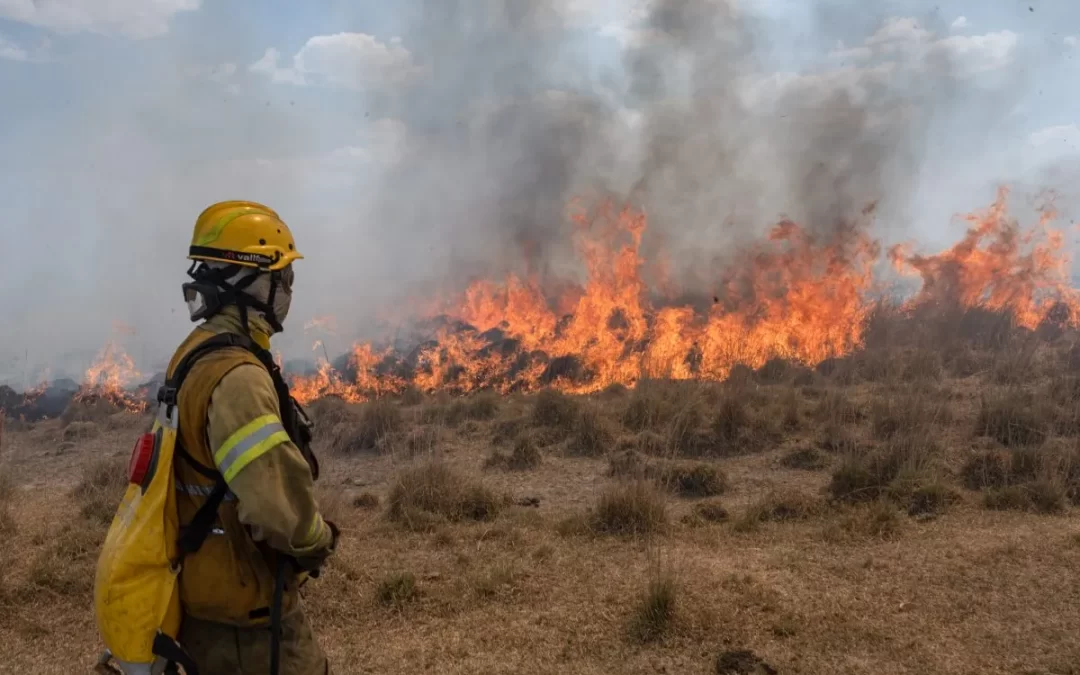 Los incendios forestales en Corrientes mantienen en vilo a la Argentina