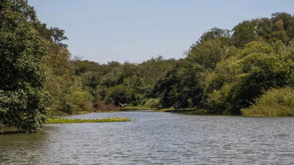 Evalúan crear un parque natural en el Río Uruguay